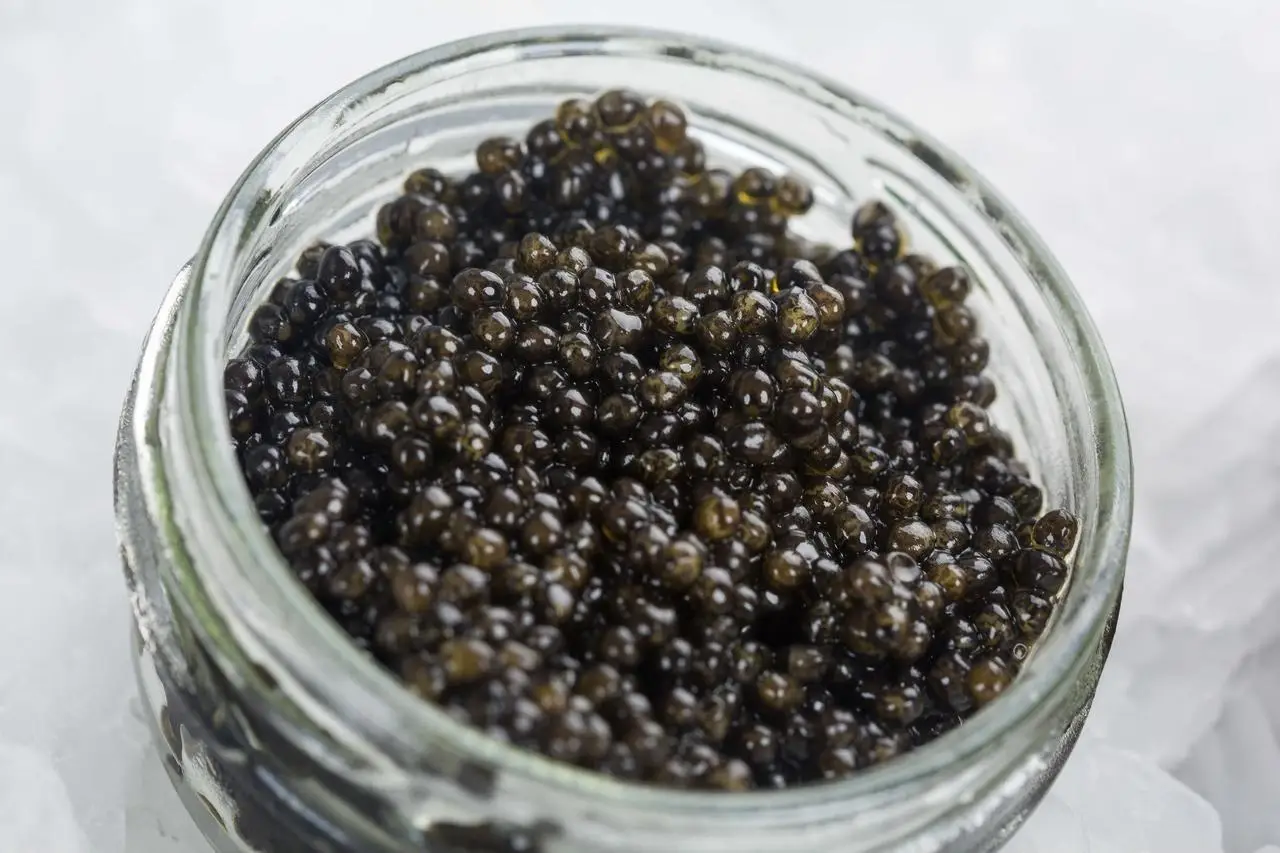3789937540_w640_h640_chernaya-ikra-osyotrovaya Imperial Beluga Caviar