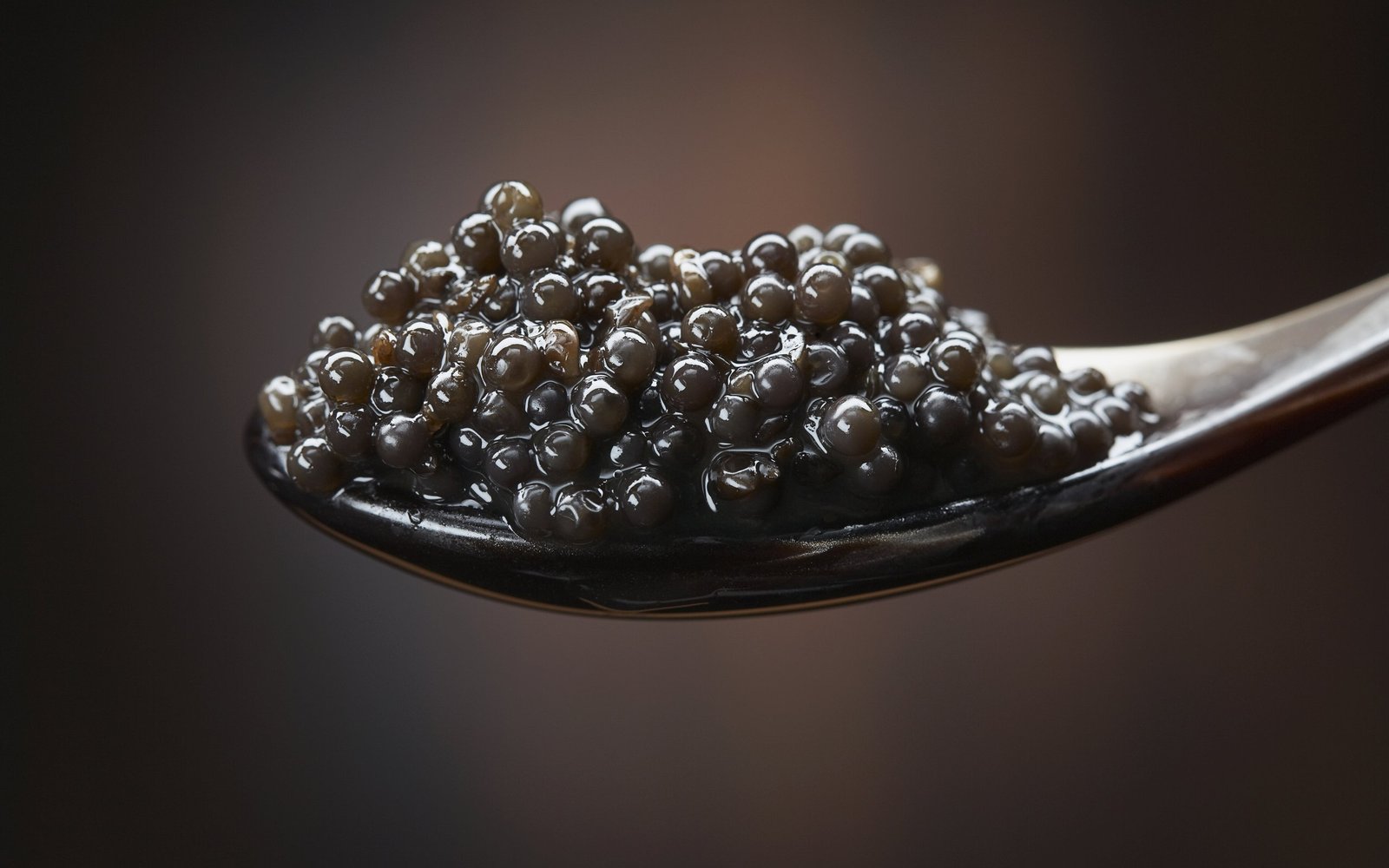 Food_Seafood_Spoon_caviar_022341_ Imperial Beluga Caviar - Image 2