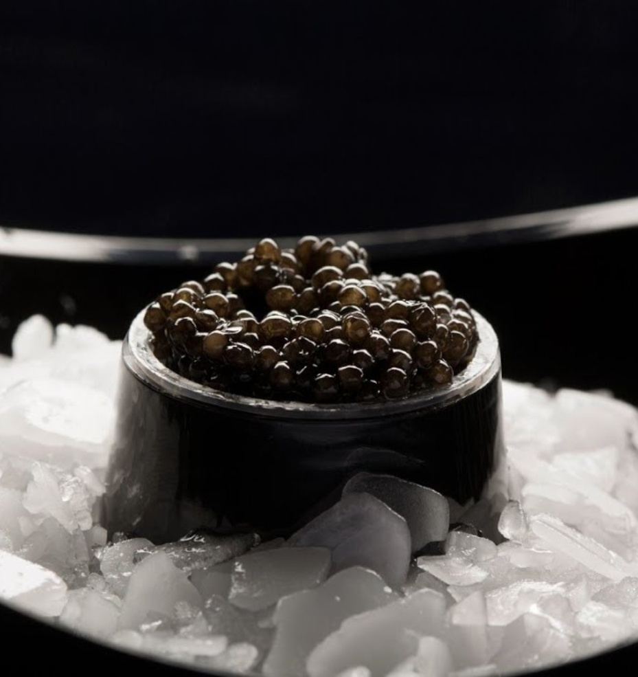 Home Untitled Design 1