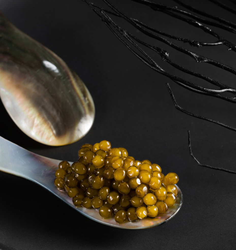 Home Untitled Design 3