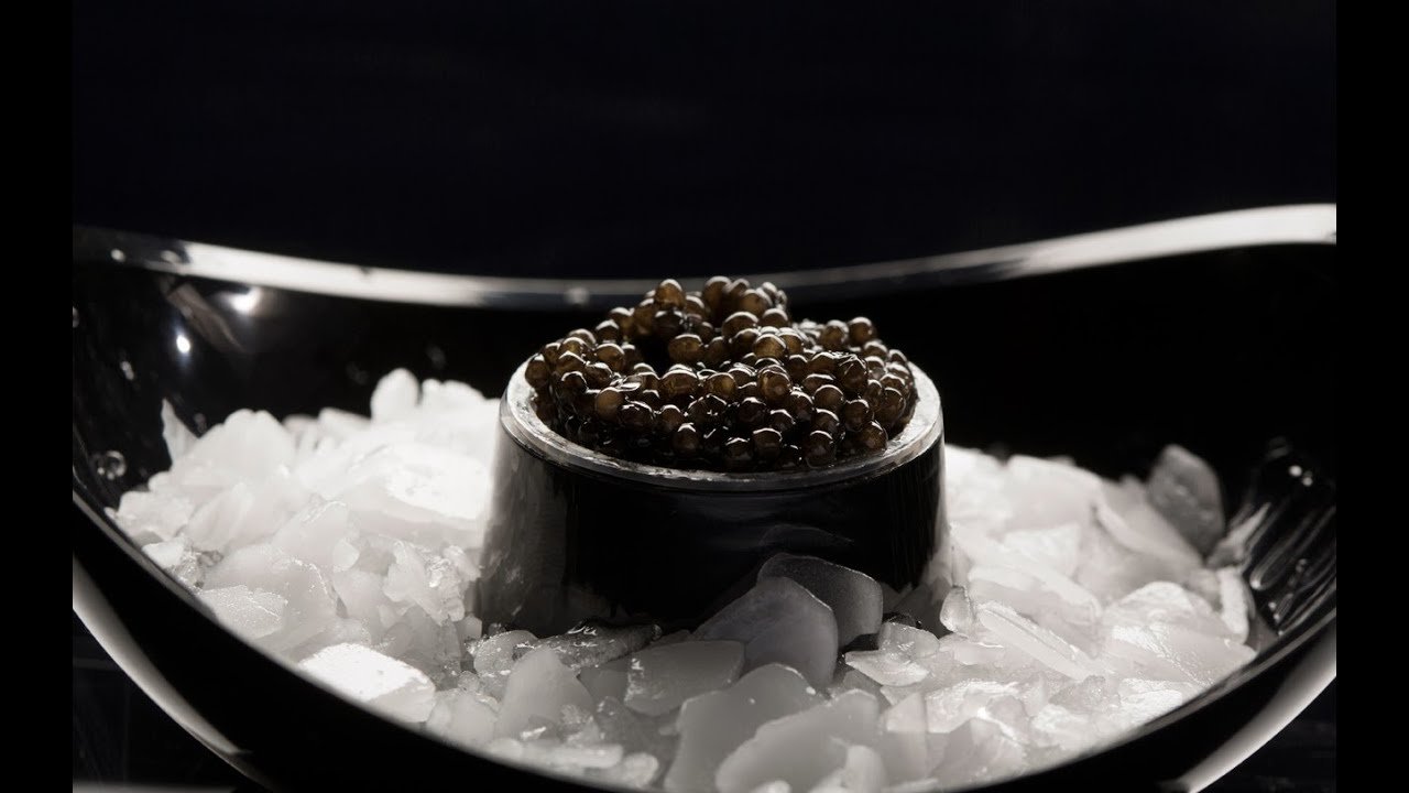 maxresdefault Imperial Beluga Caviar - Image 4